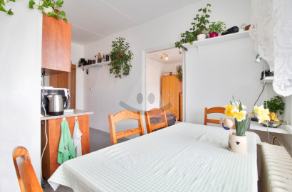 2-Bedroom Apartment in Pliešovce